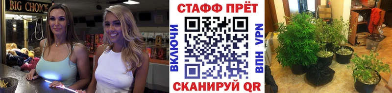 Все наркотики Лесной МДМА КОКАИН СК Мефедрон Каннабис