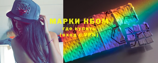 стаф Аркадак
