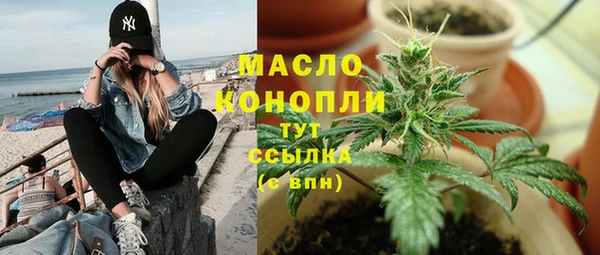 стаф Аркадак