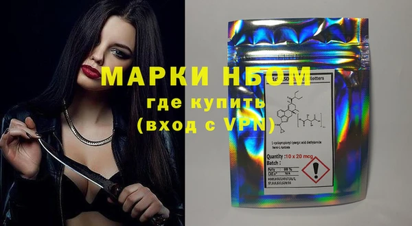 стаф Аркадак